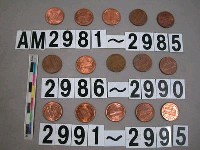 藏品(美國1分硬幣)的圖片